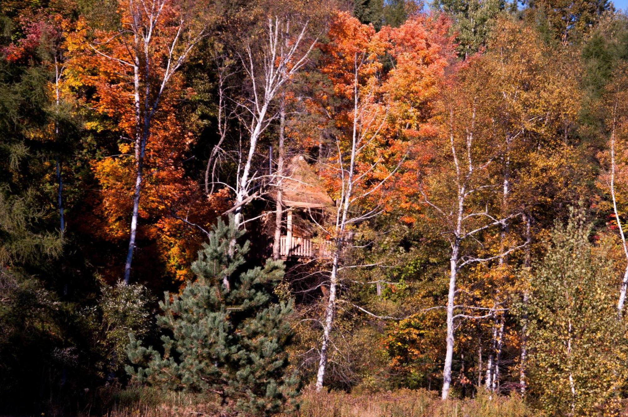 Les Cabanes Du Trappeur Wentworth-Nord Bagian luar foto