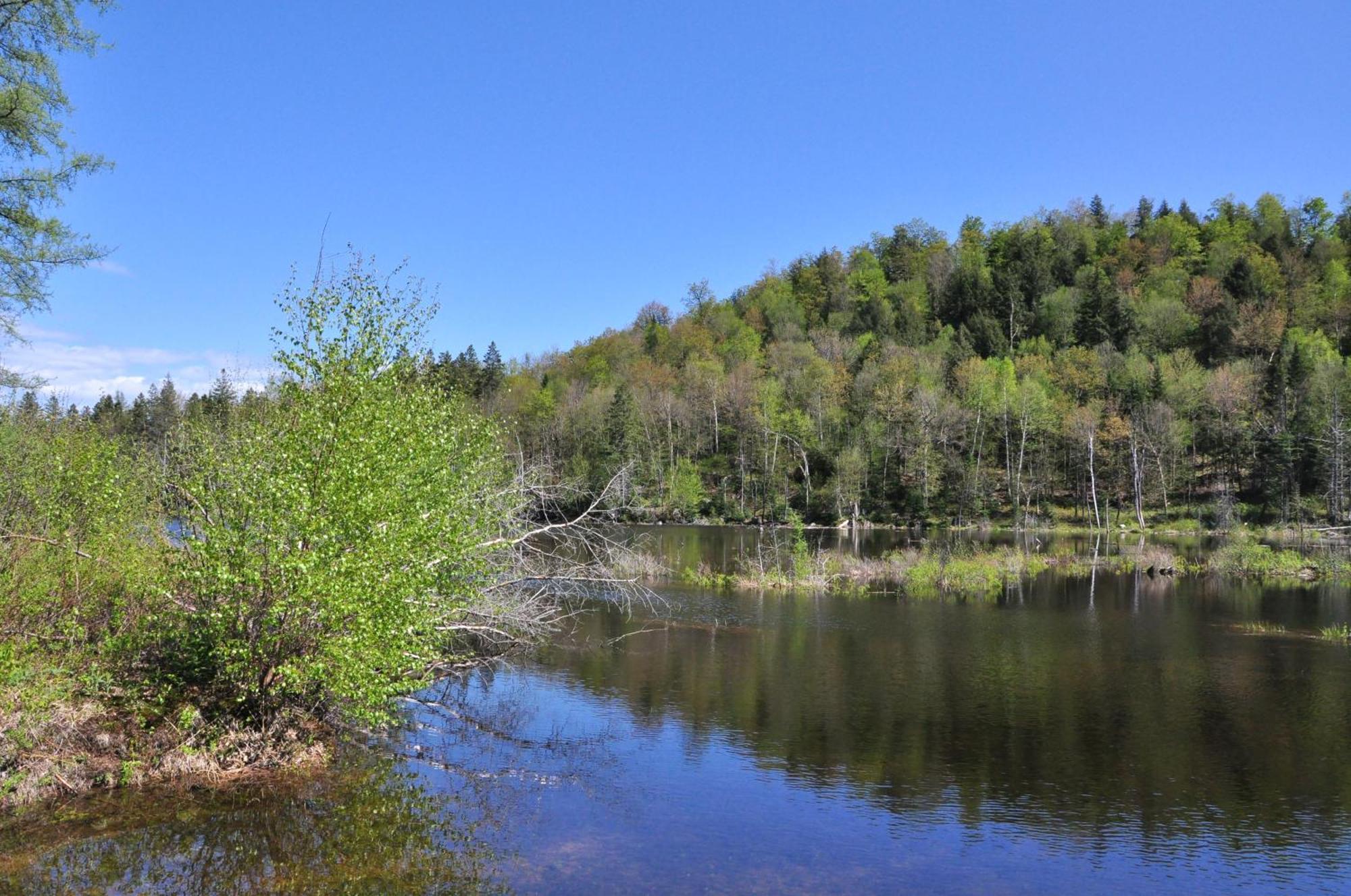 Les Cabanes Du Trappeur Wentworth-Nord Bagian luar foto