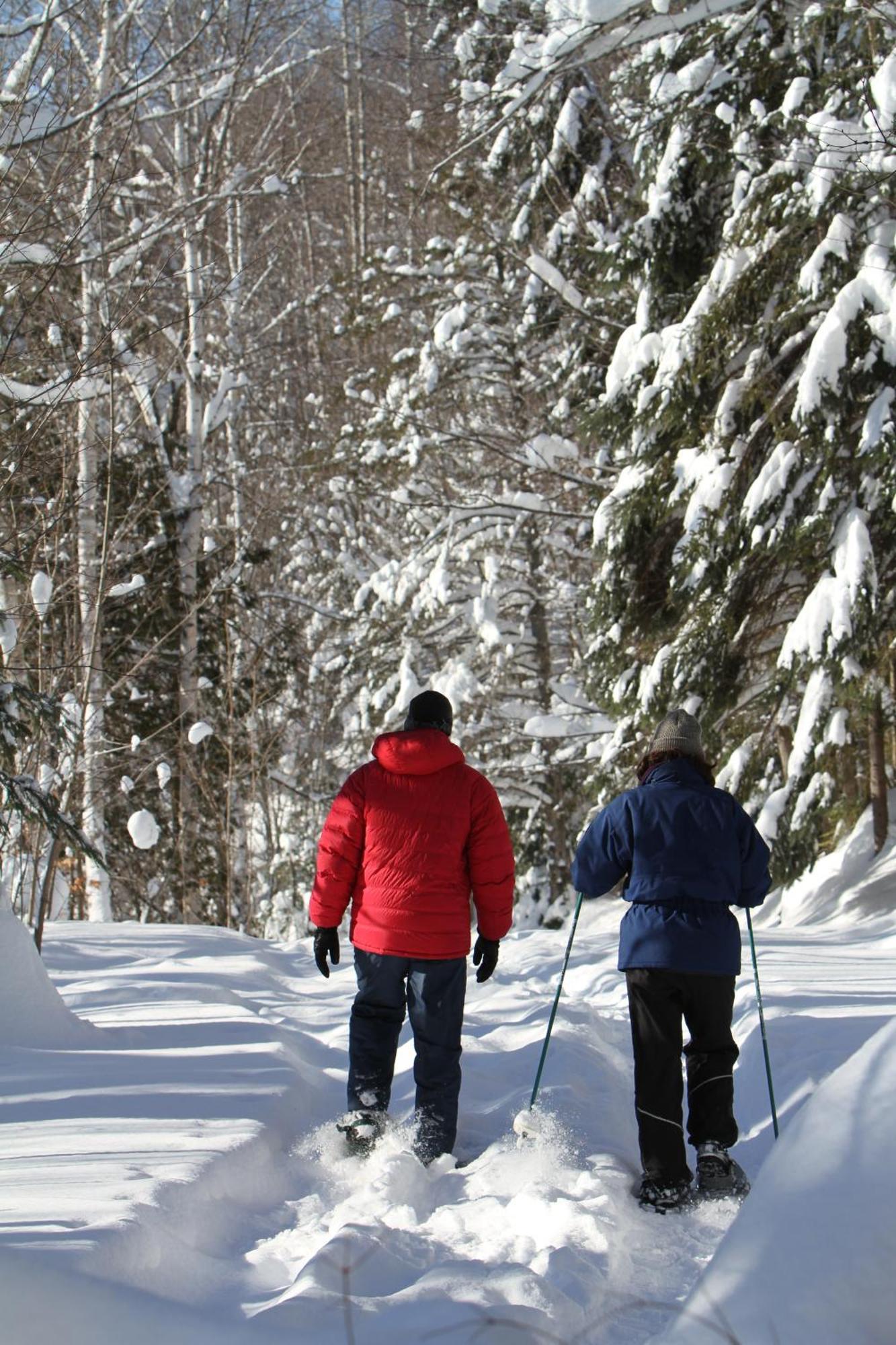 Les Cabanes Du Trappeur Wentworth-Nord Bagian luar foto