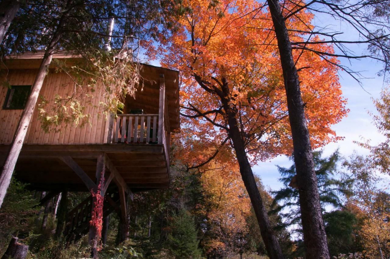 Les Cabanes Du Trappeur Wentworth-Nord Bagian luar foto